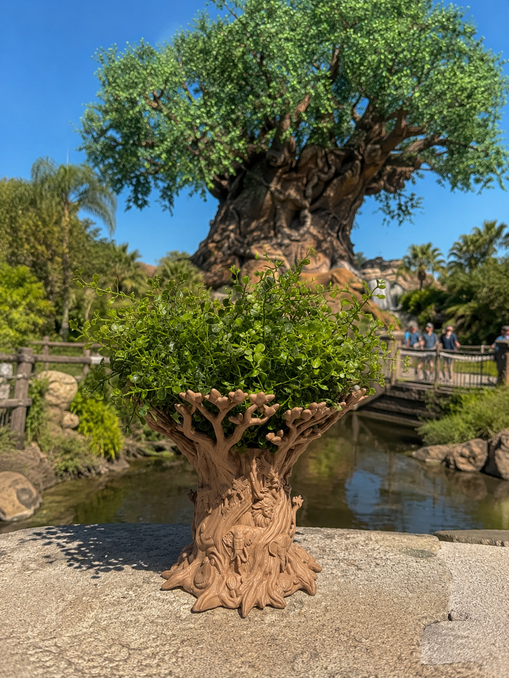 TREE OF LIFE